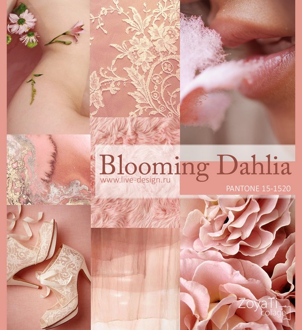 Blooming-Dahlia1.jpg