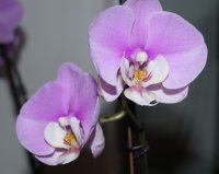 DSC05846.JPG
