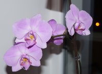 DSC05845.JPG