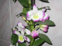 IMG_9081_1.jpg
