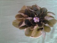 20150410_113919.jpg
