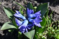 DSC_1201.JPG