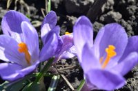DSC_1204.JPG