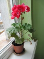 IMG_6023.JPG