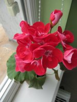 IMG_6022.JPG