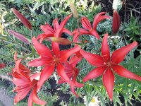 20180625_194938.jpg