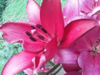 20180626_111249(0).jpg