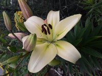 20180626_111035.jpg
