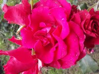 20180626_112227.jpg