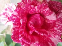 20180626_112141.jpg