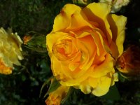 20180626_112008.jpg