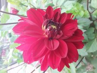 20180626_111119.jpg