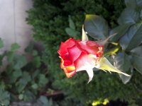 20180625_194848.jpg