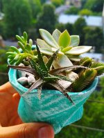 IMG_20180720_170705.jpg