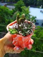 IMG_20180720_170830.jpg