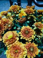 125D1299-EEEC-486C-BA74-A745103D9885.jpeg