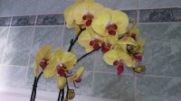 20180620_103846.jpg