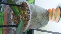 20181027_115238.jpg