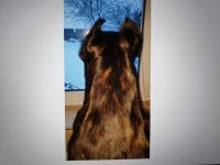 20190126_004025.jpg