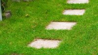 trittsteine-reichen-gewoehnlich-nicht-als-gartenweg-.jpg