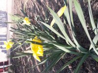 20190331_165054.jpg