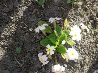 20190331_165048.jpg