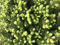 4B155070-6847-40CE-B96C-4F8779430D39.jpeg