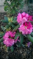 WP_20190519_15_29_19_Pro.jpg