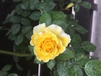BB768E49-1DF4-4E78-9B63-1CD24BC8796A.jpeg
