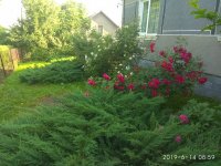 IMG_20190614_090000.jpg