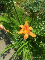 IMG_20190608_054638.jpg