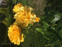 B6B2DF13-740D-49EF-B88E-80744A406FBF.jpeg