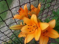 20190629_181920.jpg