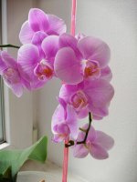 IMG_20190801_135635.jpg