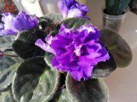IMG_20190603_090938.jpg