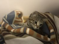 DC0AB0DD-6170-4EBB-98D3-7F609EB242B7.jpeg