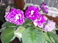 20190806_222524.jpg