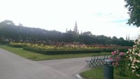 IMAG0858.jpg