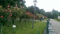 IMAG0861.jpg