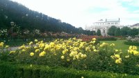 IMAG0864.jpg