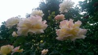 IMAG0891.jpg