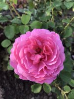 6BDFA103-5EBB-4AB7-81DB-D043EBA55EB3.jpeg
