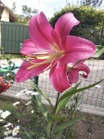 IMG_20200720_130312.jpg