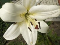 IMG_20200720_130239.jpg