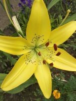 IMG_20200720_130518.jpg