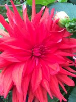 B182A0DF-465A-4AD9-A633-B7AAF27068EF.jpeg