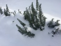 5D088C8B-EE65-407B-AB96-5E6F5F73E1B7.jpeg