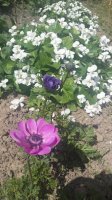 20150509_142006.jpg