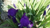 20150427_110653.jpg