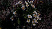 20150427_110729.jpg